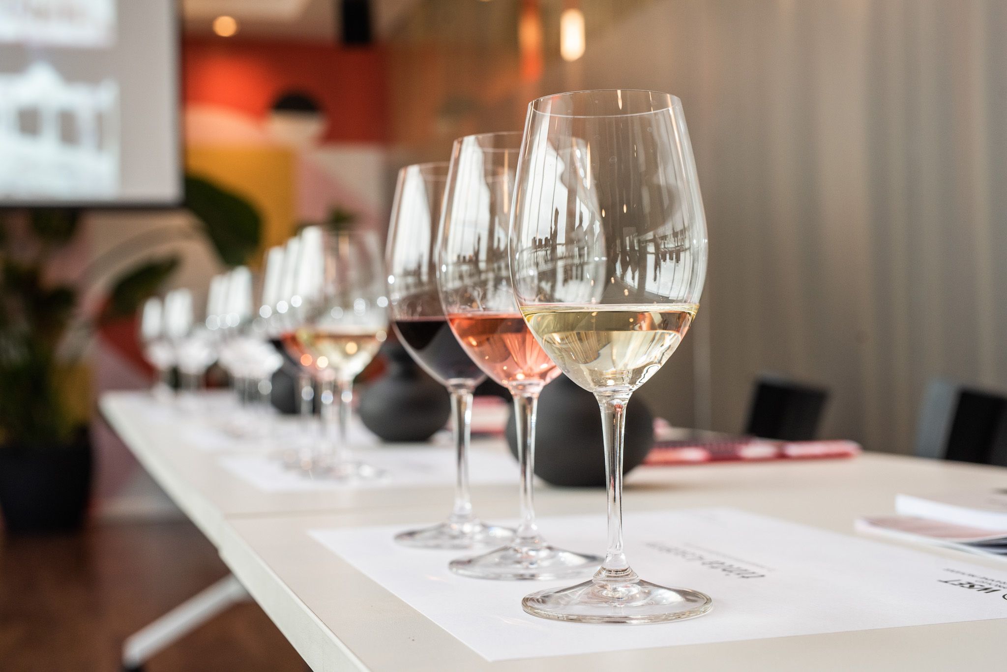 Educación sobre vinos